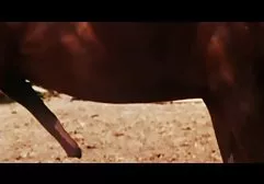 الهواة قصص جنس بالعربي