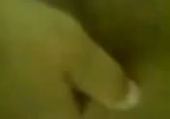 مجعد قصص سكس مكتوبه بالعربي الشعر