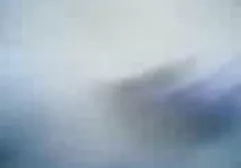 الأبيض و صور سكس بالعربي الأسود مثليات