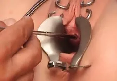 فيكتوريا بالعربي سكس ضحك